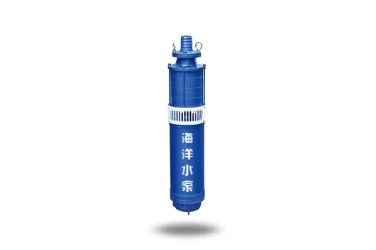 QS Water-Filled Wet Multi-Stage Submersible Pump