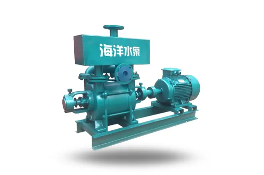 2BE1 Water Ring Vacuum Pump