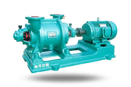 SZ Water Ring Vacuum Pump and Compressor