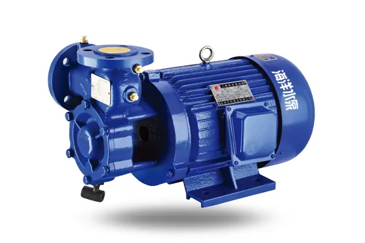 1W Close-Coupled Single-Stage Regenerative Pump