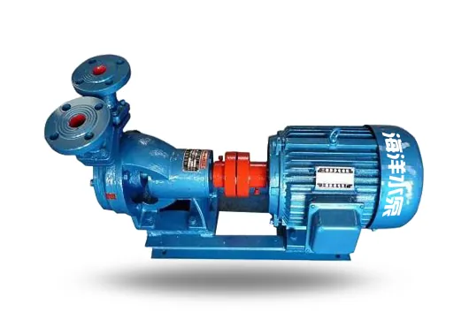 W Horizontal Cantilever Single-Stage Regenerative Pump
