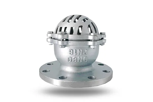 Foot Valve