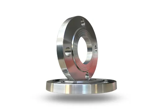 Stainless Steel Flanges